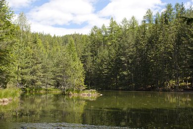 Winkelbergsee