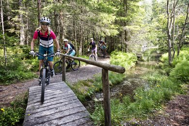 Mountainbiken im Ötztal